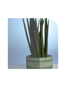 Stopsol supersilver clair